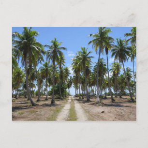 Rangiroa way to paradise postcard