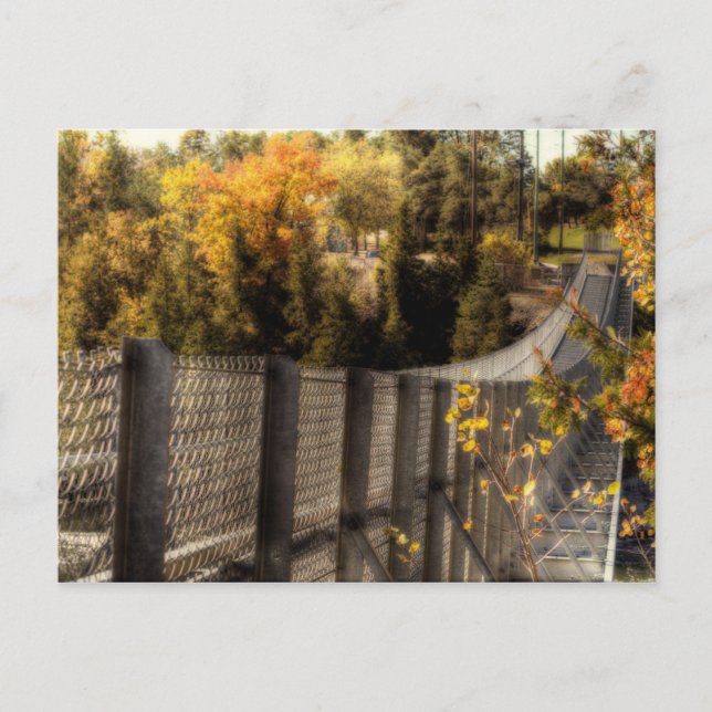 Ranney Gorge Suspension Bridge Postcard (Front)