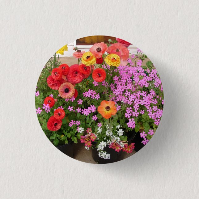 Rannunculus Spring Bulbs floral Flowers Flower 3 Cm Round Badge (Front)