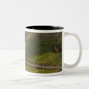 Rano Raraku, Rapa Nui, Easter Island, Chile Two-Tone Coffee Mug