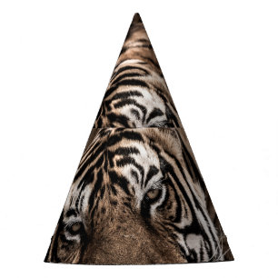 Ranthambore tiger: close-up fine art. party hat
