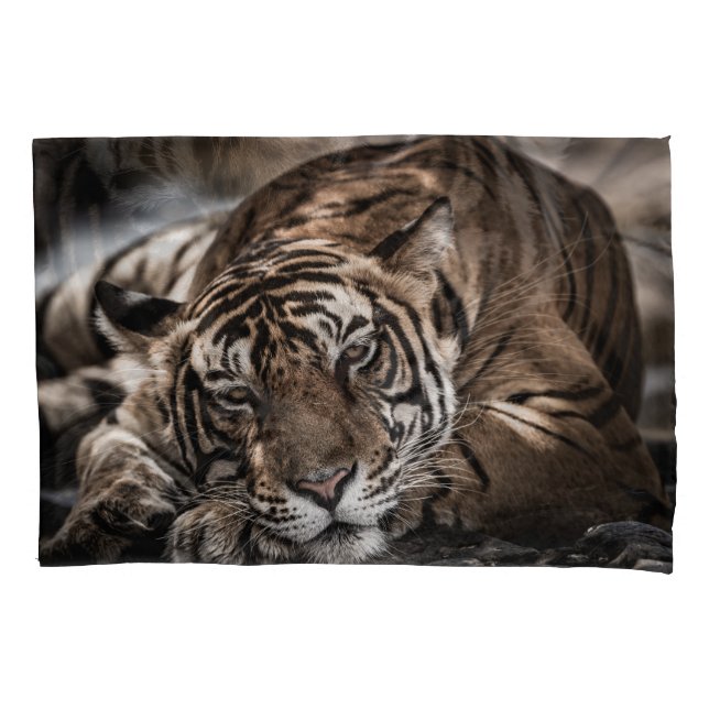 Ranthambore tiger: close-up fine art. pillowcase (Front)
