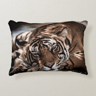 ranthambore wild male tiger Fine art image portrai Decorative Cushion