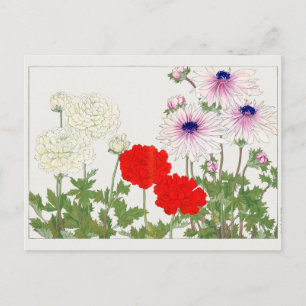 Ranunculus by Tanigami Konan Postcard