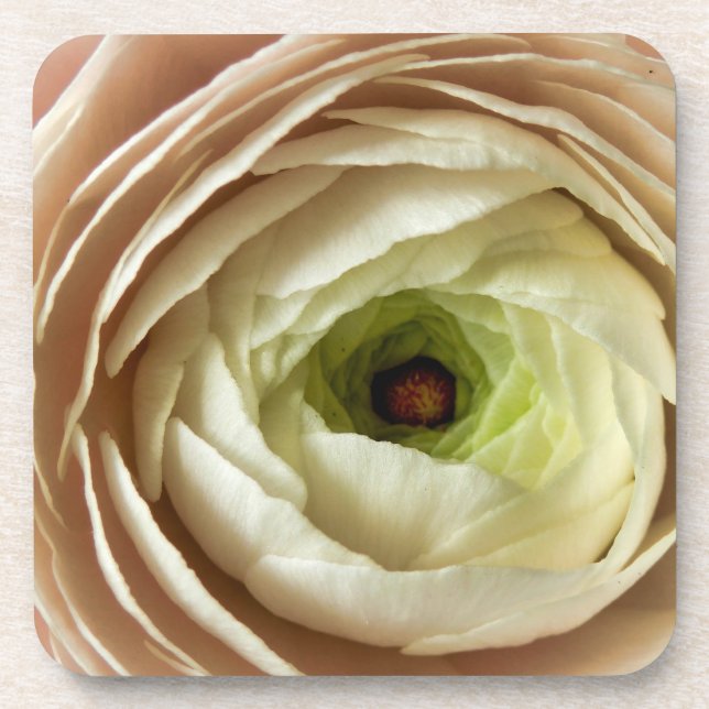 Ranunculus Flower Coaster (Front)