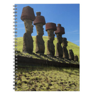 Rapa Nui artefacts, Easter Island Notebook