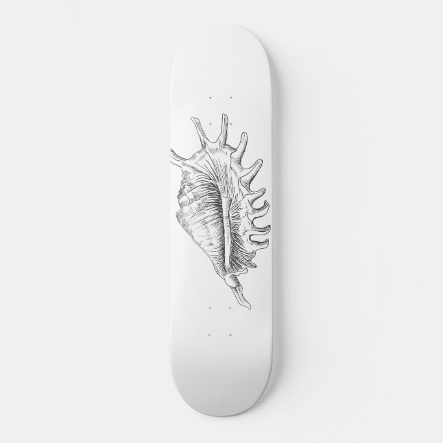 Rapana Seashell Coffee Mug Teapot Skateboard (Front)