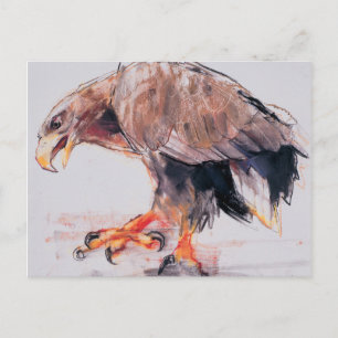 Raptor 2001 postcard