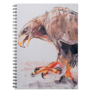 Raptor 2001 spiral notebook