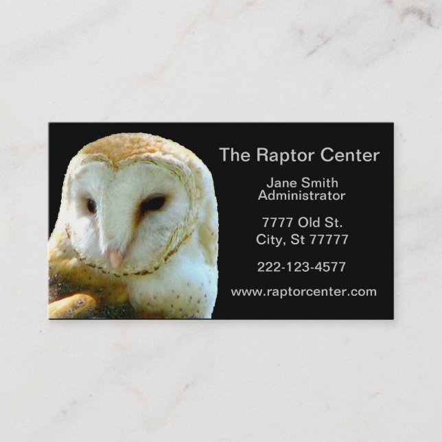 Raptor Barn Owl Profile Business Card (Front)