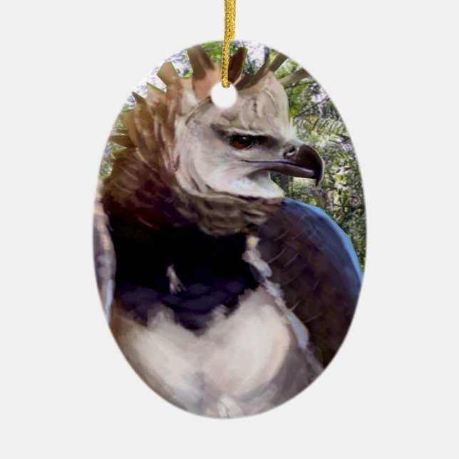 "Raptor" Ceramic Tree Decoration (Front)