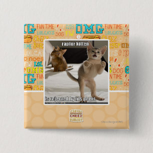 Raptor Kitten 15 Cm Square Badge