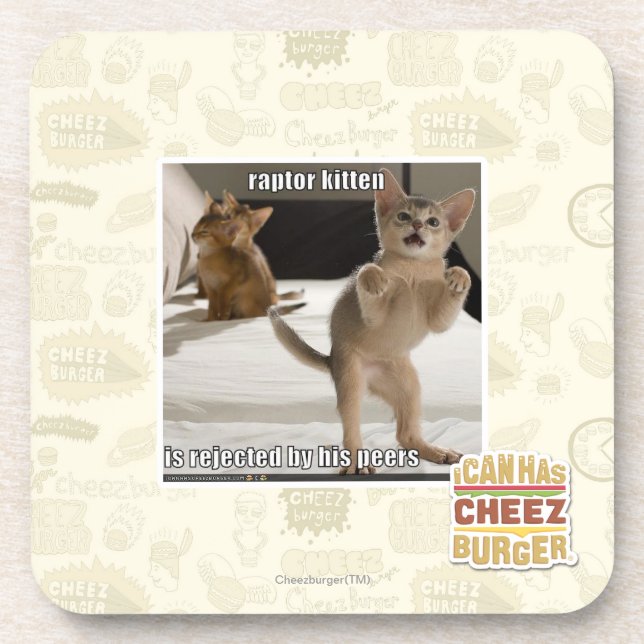 Raptor Kitten Coaster (Front)
