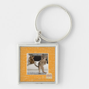 Raptor Kitten Key Ring