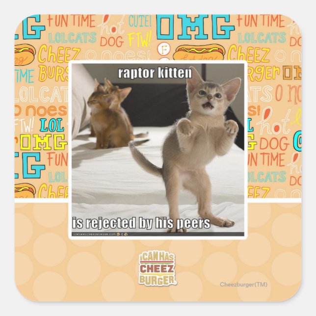 Raptor Kitten Square Sticker (Front)