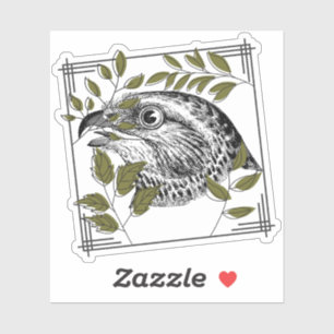 Raptor Portrait and Olive Leaves - Botanical Art