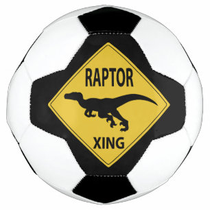 Raptor Xing Soccer Ball