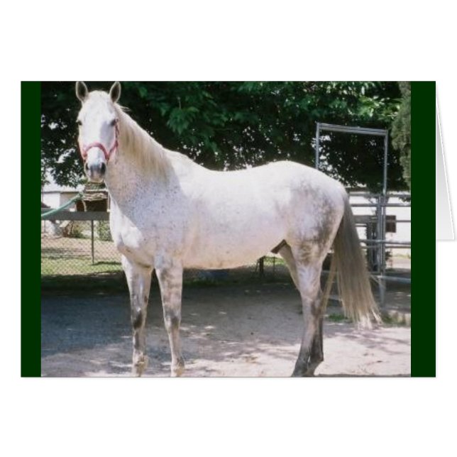 Rapturous (Front Horizontal)