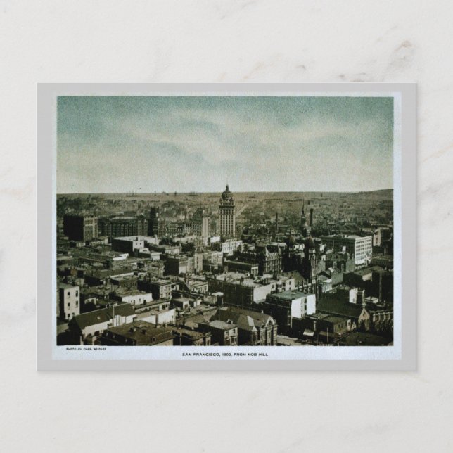 Rare 1903 San Francisco from Nob Hill photo Postcard (Front)