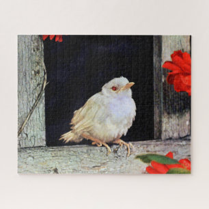RARE albino robin bird Jigsaw Puzzle