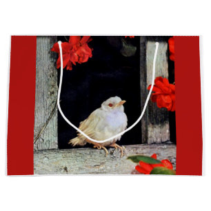 RARE albino robin bird Large Gift Bag
