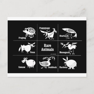 Rare Animals Postcard