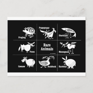 Rare Animals Postcard