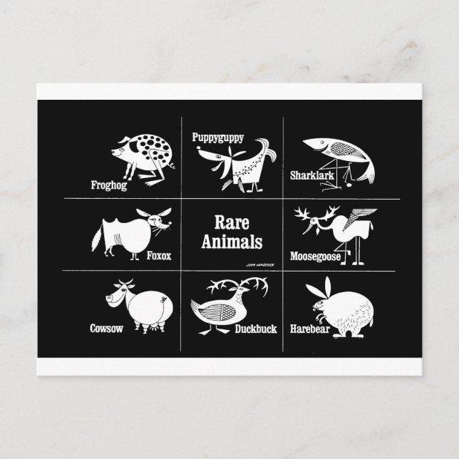 Rare Animals Postcard (Front)