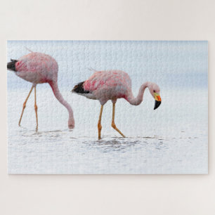 Rare Beautiful Andean Flamingo Pink Bird Chile Jigsaw Puzzle
