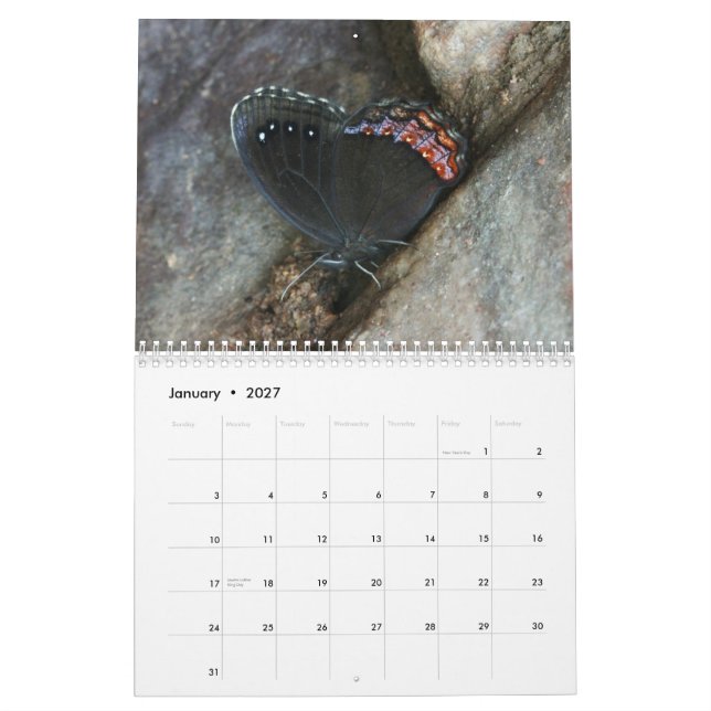Rare Butterflies 2013 Calendar (Jan 2027)