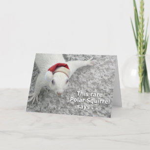 Rare Christmas Squirrel Holiday Card