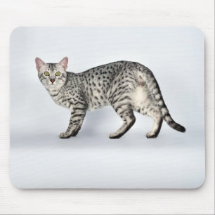 Rare Egyptian Mau Cat Mouse Pad