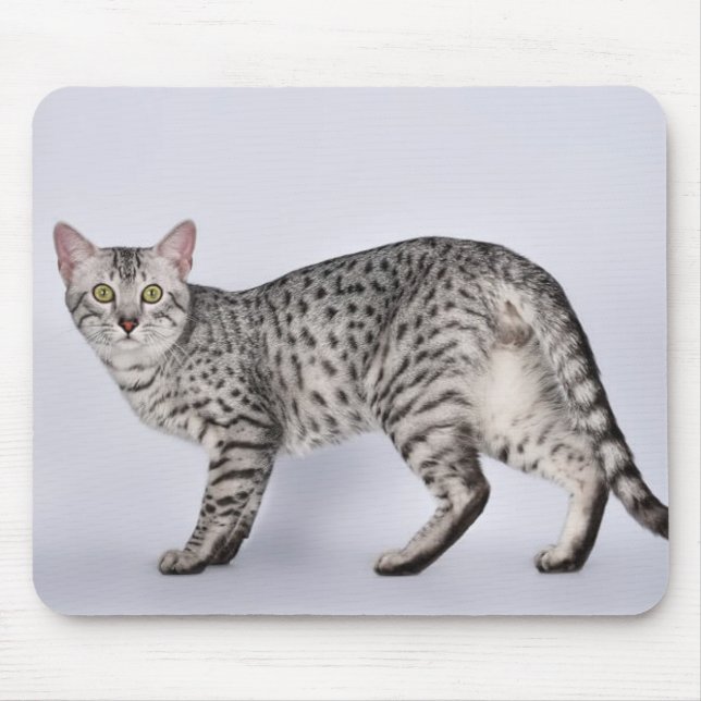 Rare Egyptian Mau Cat Mouse Pad (Front)