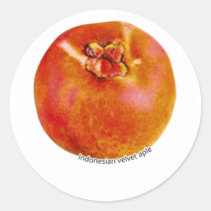 ​Rare Exotic Bisbul Velvet Apple - Indonesian Trop Classic Round Sticker