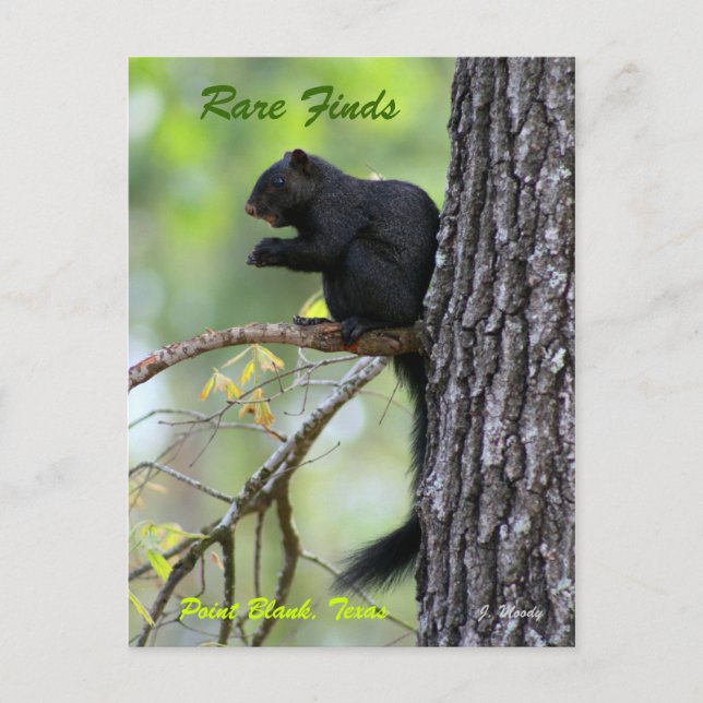 Rare Finds Postcard (Front)