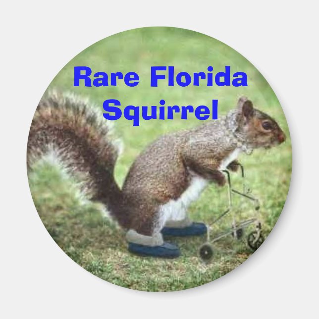 Rare Florida Squirrel Magnet (Front)
