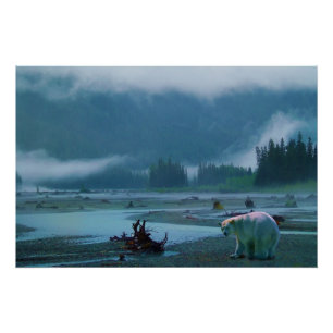 Rare Kermode Bear (Spirit Bear) and Misty River Poster
