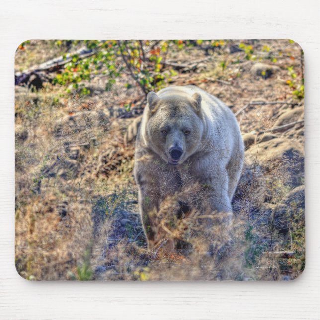 Rare Kermode Bear (Spirit Bear) Wildlife Photo Mouse Pad (Front)