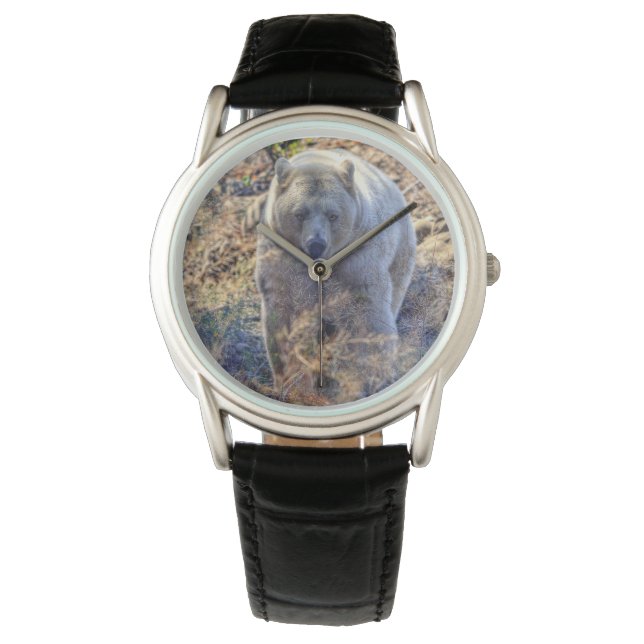 Rare Kermode Bear (Spirit Bear) Wildlife Photo Watch (Front)