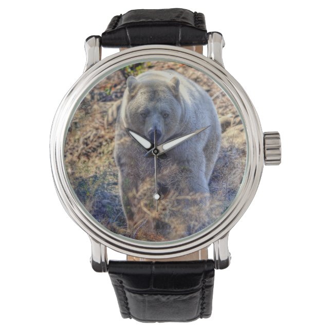 Rare Kermode Bear (Spirit Bear) Wildlife Photo Watch (Front)