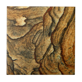Rare landscape jasper macro photography tile