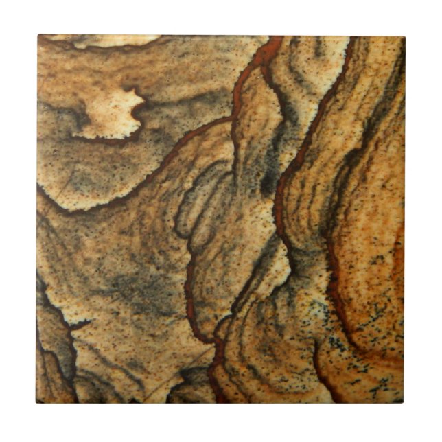 Rare landscape jasper macro photography tile (Front)