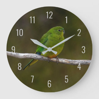 Rare Orange-bellied Parrot Bird Australia Large Clock