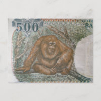 Rare Orangutan Limited Edition