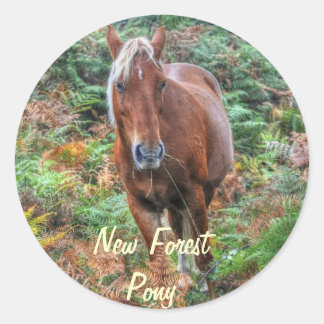Rare Palomino New Forest Pony & Bracken - England Classic Round Sticker
