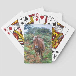 Rare Palomino New Forest Pony & Bracken - England Playing Cards