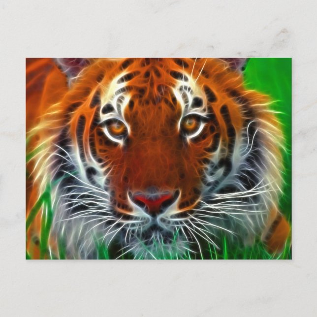 Rare Sumatran Tiger from Indonesia Postcard (Front)