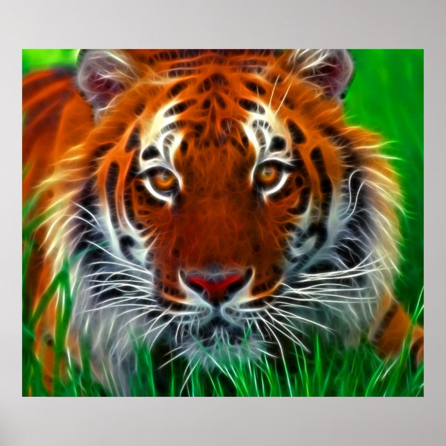 Rare Sumatran Tiger from Indonesia Poster (Front)