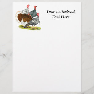 Rare Turkey Quartet
