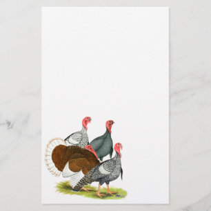 Rare Turkey Quartet